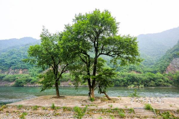 简论李白《秋浦歌》十七首