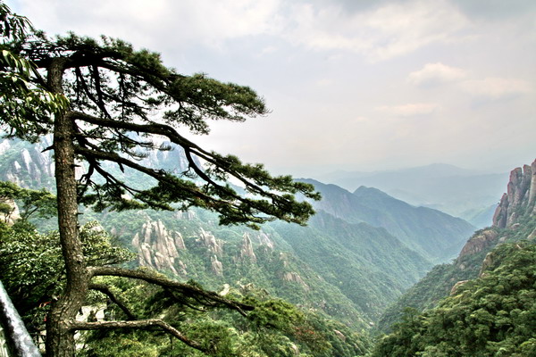 山人劝酒