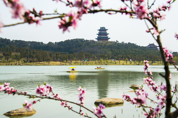 赠崔秋浦其三