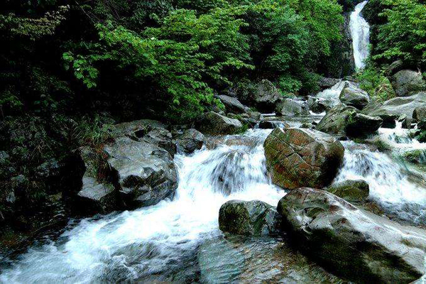 李白《送别》(寻阳五溪水)