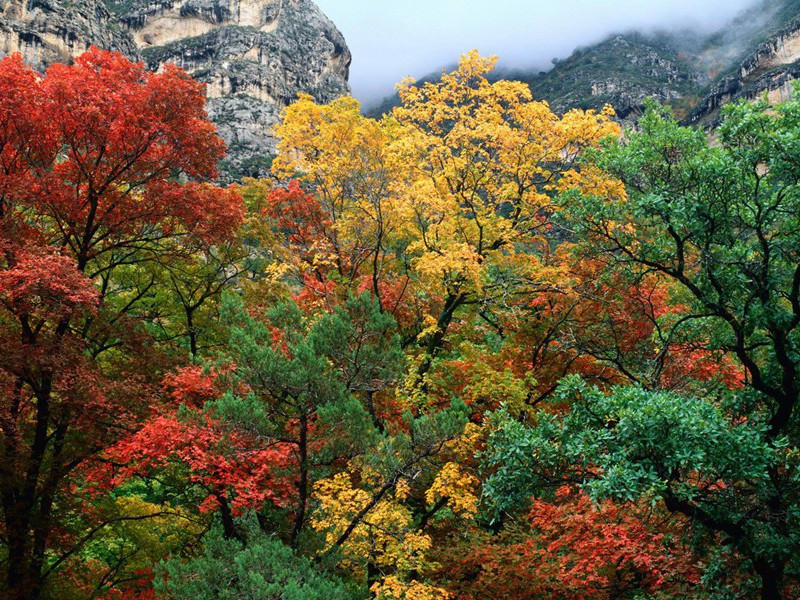 蓦山,蓦山溪,寄宝学