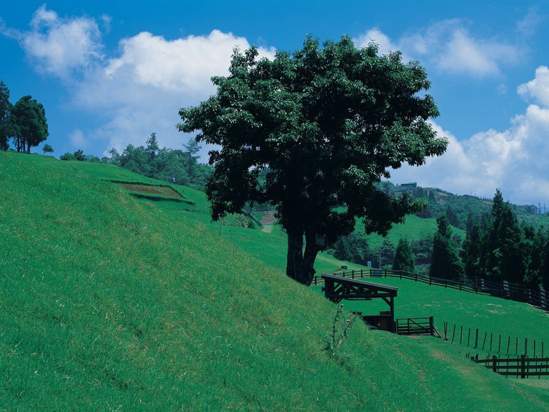 登飞,登飞来峰