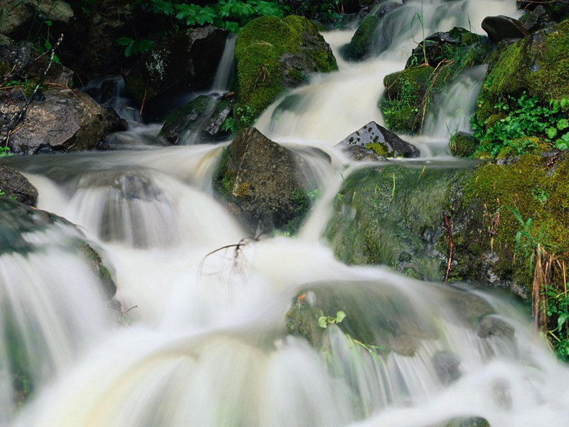 辛弃疾《水龙吟·登建康赏心亭》赏析-宋代关于仕隐两难的古诗