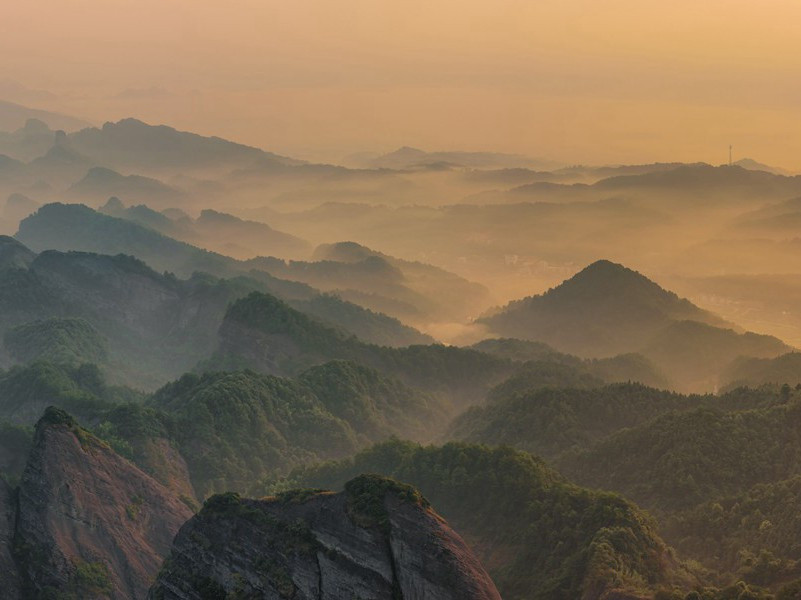 相思,相思树上合欢枝