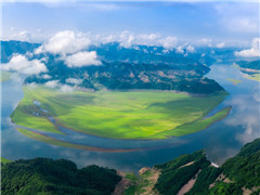 原来姹紫嫣红开遍,似这般都付与断井颓垣,良辰美景奈何天,赏心乐事谁家院的意