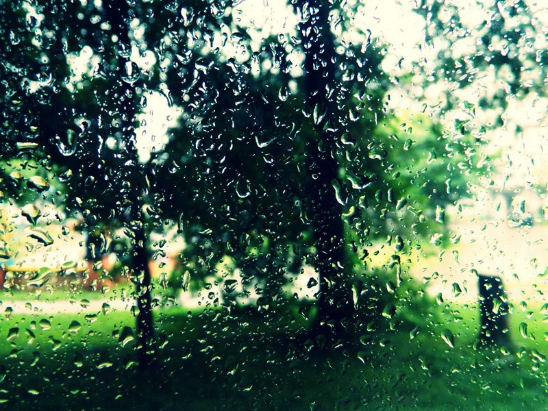 秋前,秋前风雨顿凉