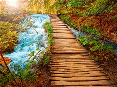曾经沧海难为水,除却巫山不是云唐代最风流的多情公子——元稹