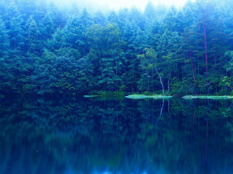 轮台九月风夜吼,一川碎石大如斗,随风满地石乱走的意思出处赏析