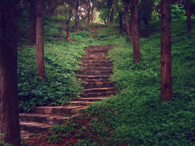 《洞仙歌·空山雨过》原文,(宋)赵鼎词作赏析