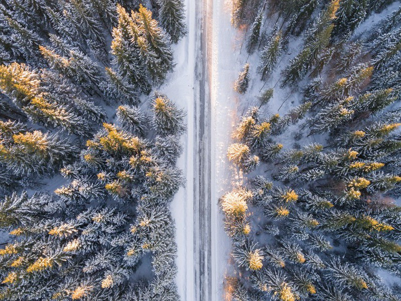 《雨雪》(朔地寒威至)原文注释-纳兰性德五言古诗赏析