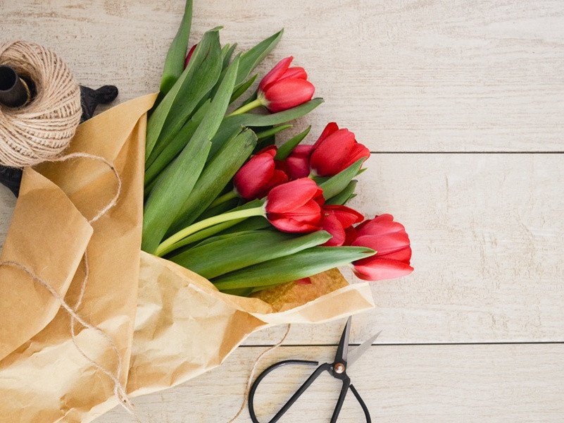 乐府二首·其二原文注释译文赏析-晁冲之诗词-宋诗全集