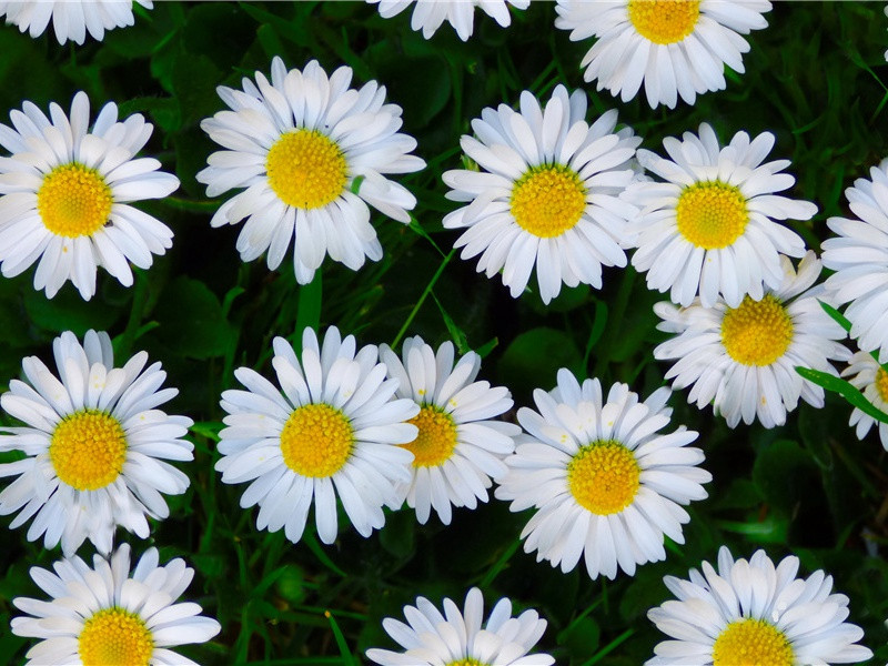 浯溪原文注释译文赏析-戴煜诗词-宋诗全集