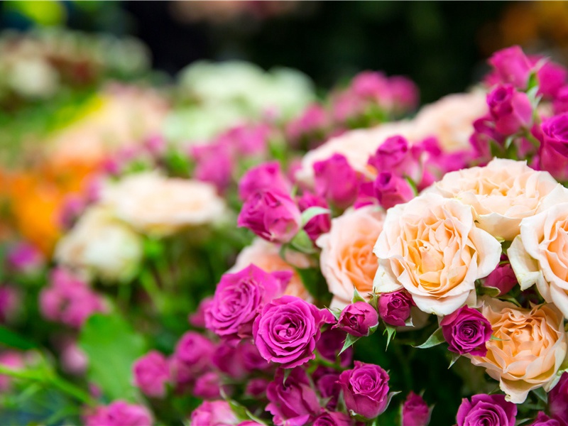 赋向伯共五老小山六言五绝·其五原文注释译文赏析-胡寅诗词-宋诗全集