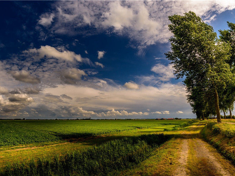 因杨刑曹往荆南代书寄二唐高士原文注释译文赏析-晁说之诗词-宋诗全集