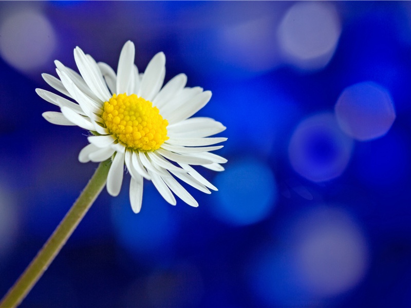 会稽绝句三首·其三原文注释译文赏析-曾巩诗词-宋诗全集