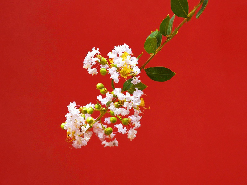 到西山怀赵景文原文注释译文赏析-陈着诗词-宋诗全集