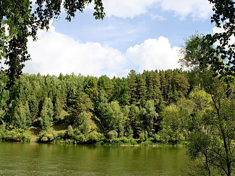 鹤林赏莲原文注释译文赏析-白玉蟾诗词-宋诗全集
