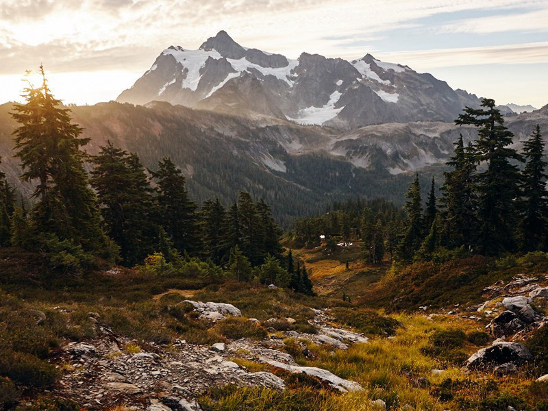 南阳春日十首·其四原文注释译文赏析-陈舜俞诗词-宋诗全集