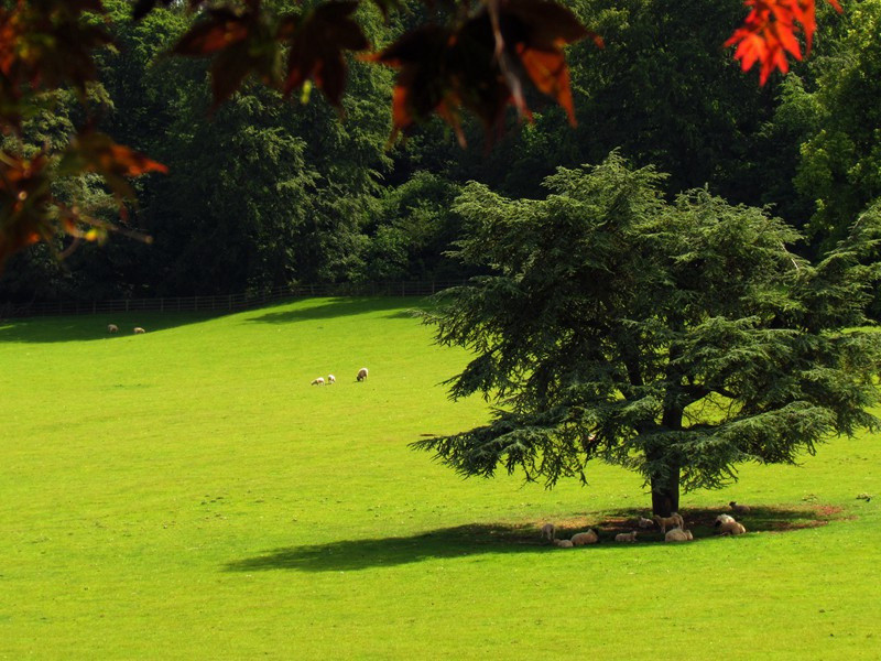 翠瀑亭原文注释译文赏析-陈岩诗词-宋诗全集