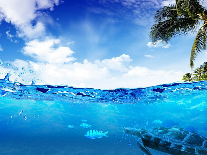 过召伯埭游斗野亭次司谏孙公韵原文注释译文赏析-李纲诗词-宋诗全集