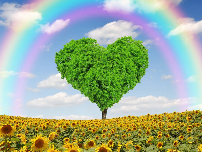 复作耳鸣二首·其一原文注释译文赏析-范成大诗词-宋诗全集