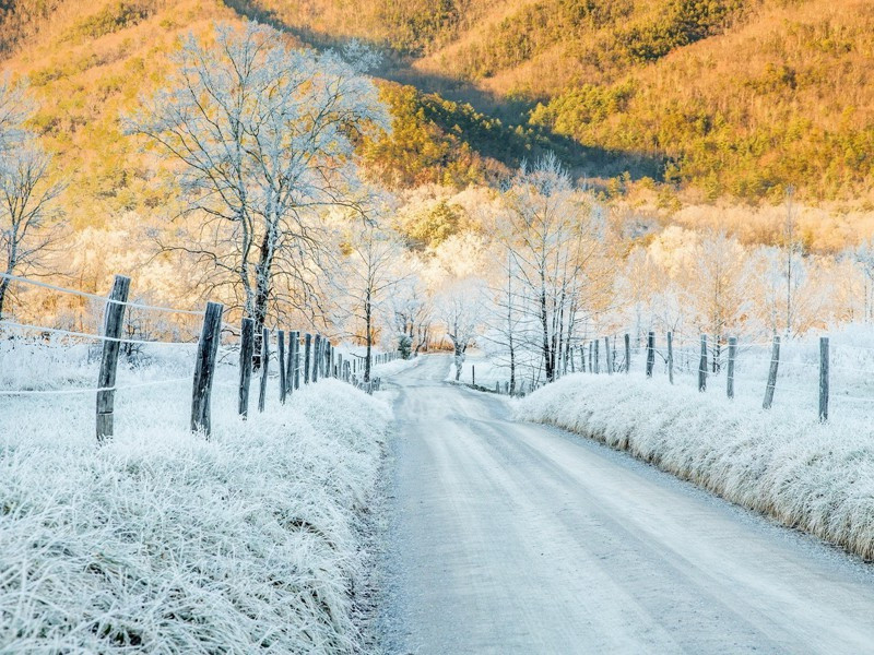 嗣首座以老夫诗西岭障斜日为韵作五章见寄次韵答之·其四原文注释译文赏析-李彭诗词-宋诗全集