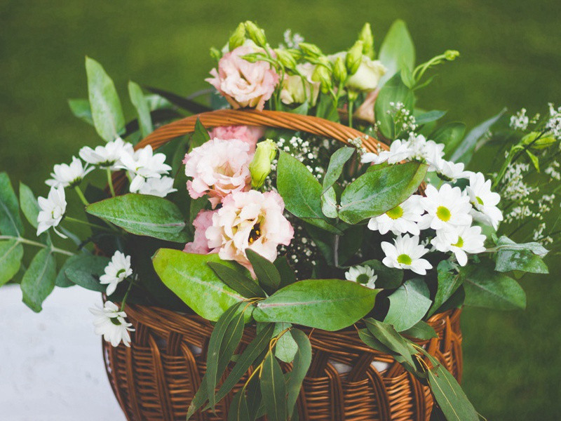 复和少藴内翰甥兼谢伯藴通判兄再赠原文注释译文赏析-晁冲之诗词-宋诗全集