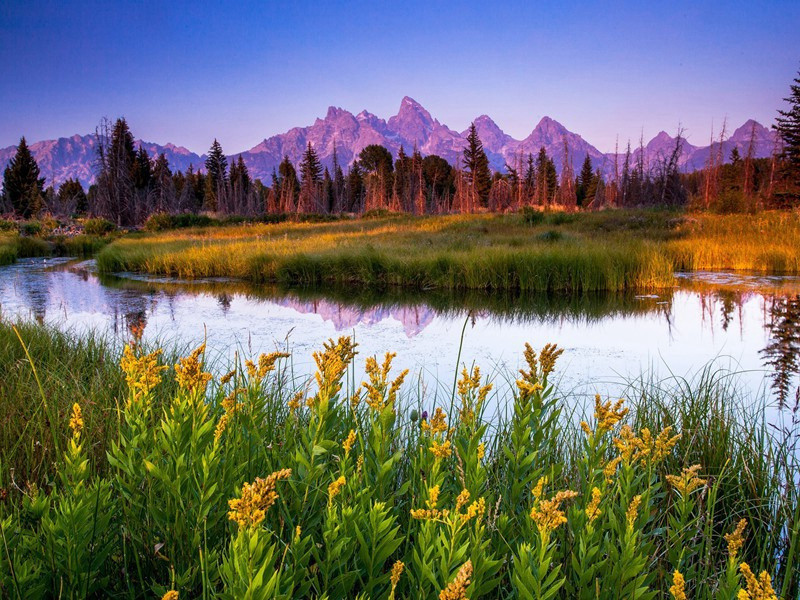 同顾广文游西湖原文注释译文赏析-蔡戡诗词-宋诗全集