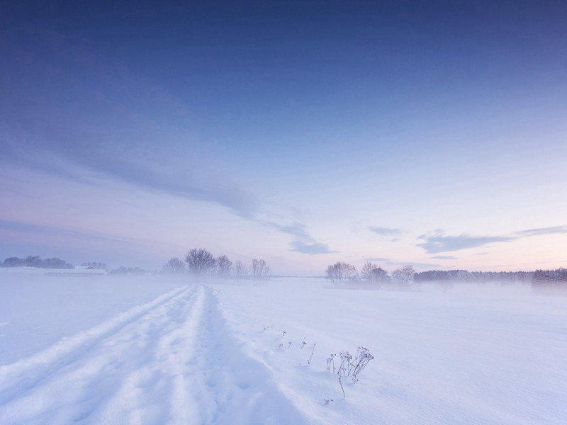 张丽华墓原文注释译文赏析-曾极诗词-宋诗全集