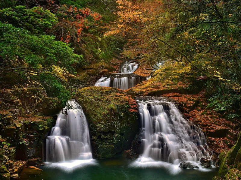 题椿桂堂四首·其三原文注释译文赏析-陈造诗词-宋诗全集