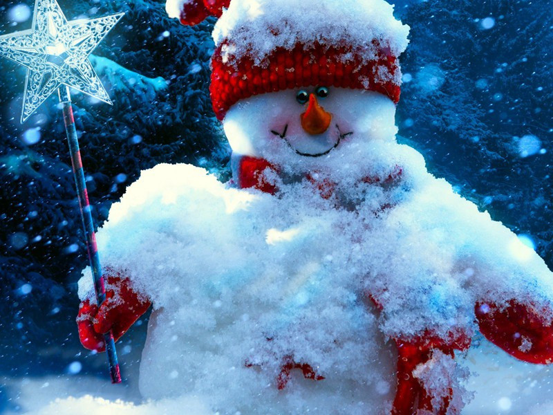 次韵赵帅岁暮原文注释译文赏析-陈造诗词-宋诗全集