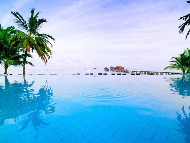 春宵有感·其一原文注释译文赏析-白玉蟾诗词-宋诗全集