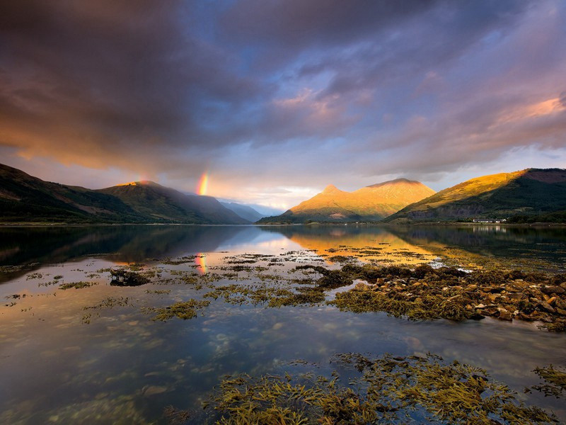 赋楼提干古桧因赠其之官原文注释译文赏析-陈着诗词-宋诗全集