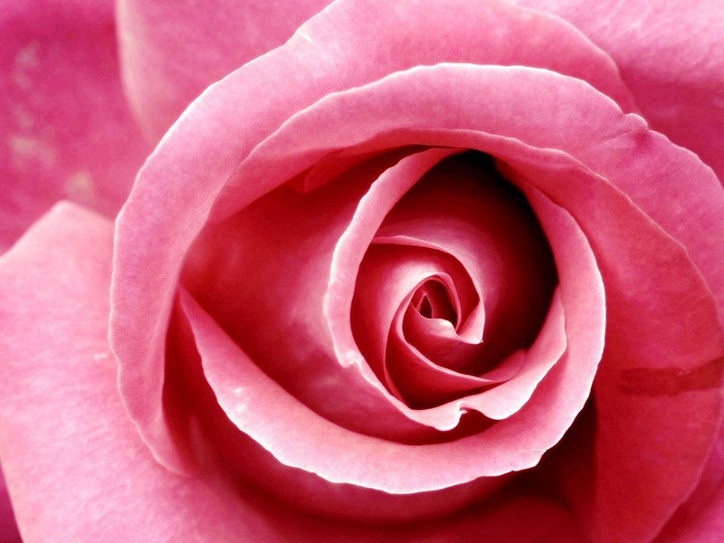 游云居三首·其三原文注释译文赏析-李彭诗词-宋诗全集