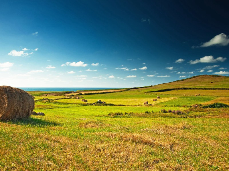 出游龙虎山舟中望仙岩壁立千仞者不可上其高处穴中往往如囷仓棺椁云盖仙人所居也余意大水人宅山上所作原文注释译文赏析-晁补之诗词-宋诗全集