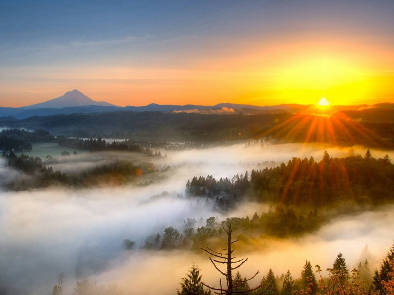 赋分原文注释译文赏析-郭祥正诗词-宋诗全集