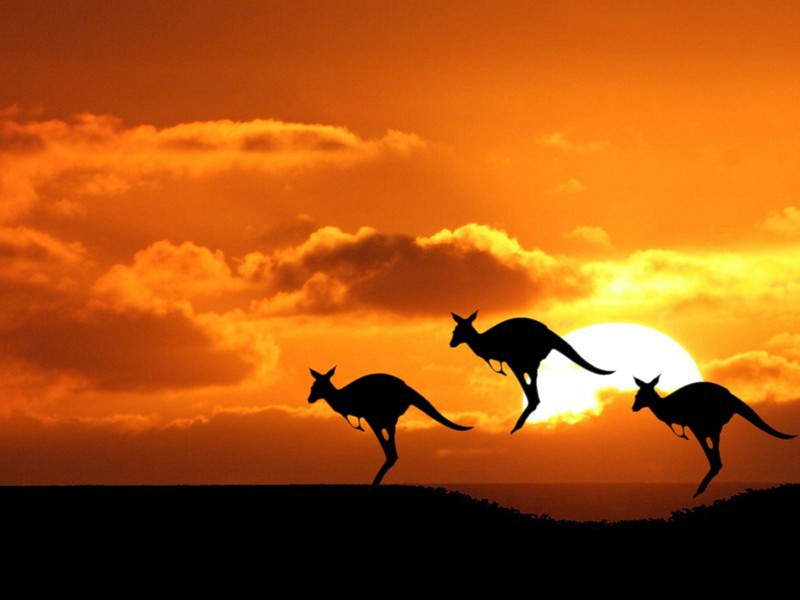 次韵椿长老惠莲花扇原文注释译文赏析-陈着诗词-宋诗全集