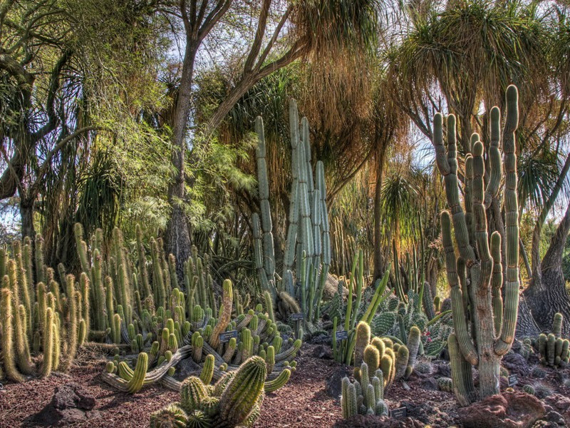 游石桥原文注释译文赏析-成大亨诗词-宋诗全集