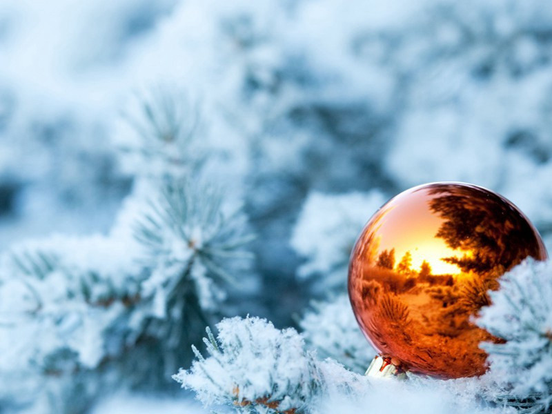 岁晏迁居原文注释译文赏析-仇远诗词-宋诗全集