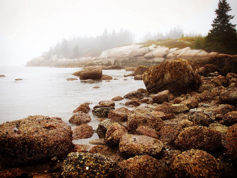 元日原文注释译文赏析-陈造诗词-宋诗全集