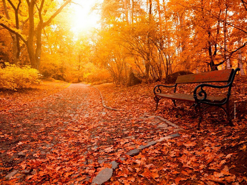 喜程道大至约诸友二首·其一原文注释译文赏析-方回诗词-宋诗全集