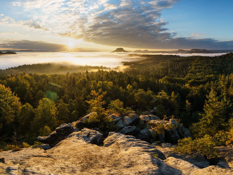 送王左丞五绝·其一原文注释译文赏析-蔡肇诗词-宋诗全集