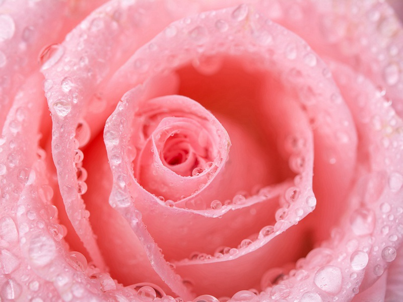 疑潮原文注释译文赏析-白玉蟾诗词-宋诗全集