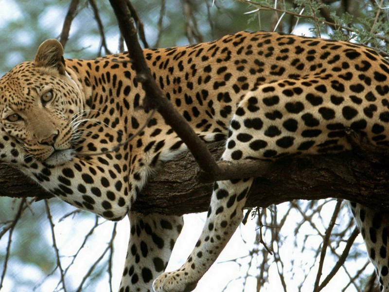 西蜀泉上人久留中都·其三原文注释译文赏析-曾丰诗词-宋诗全集