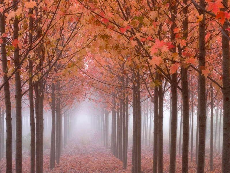 宿磻溪原文注释译文赏析-葛绍体诗词-宋诗全集