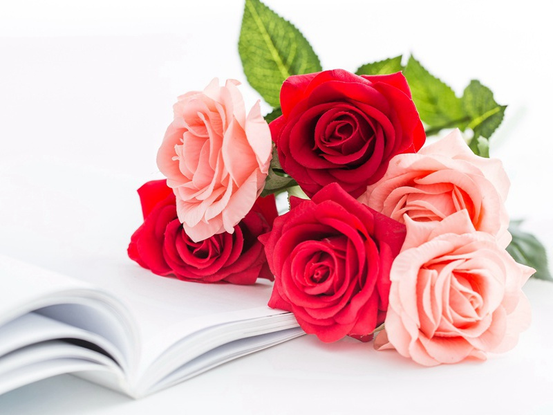 赠医士原文注释译文赏析-陈郁诗词-宋诗全集