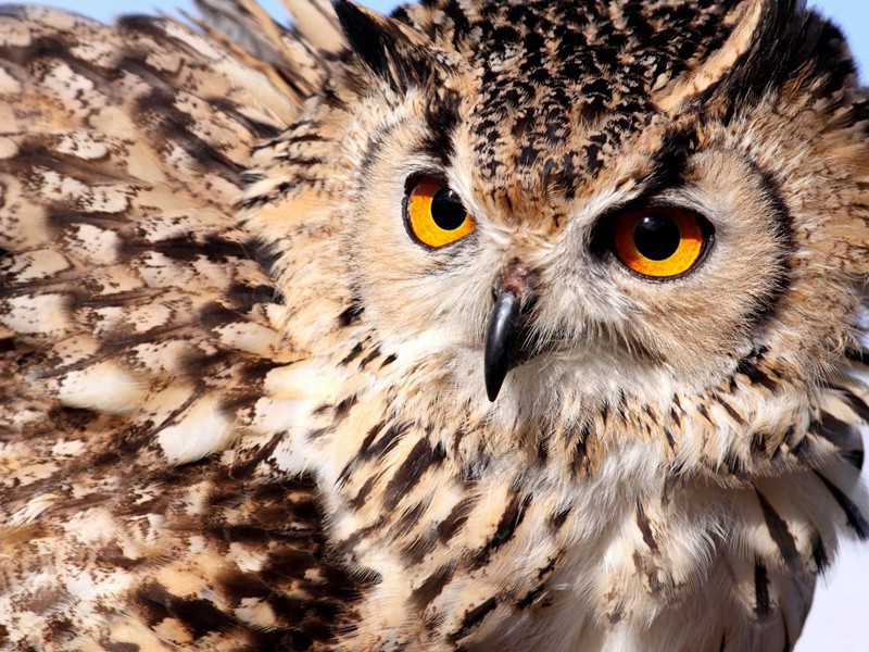 腊月被檄下豫章至南安简曹宰·其二原文注释译文赏析-曾丰诗词-宋诗全集