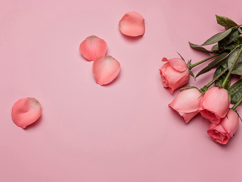 次韵项丈雪诗原文注释译文赏析-范成大诗词-宋诗全集