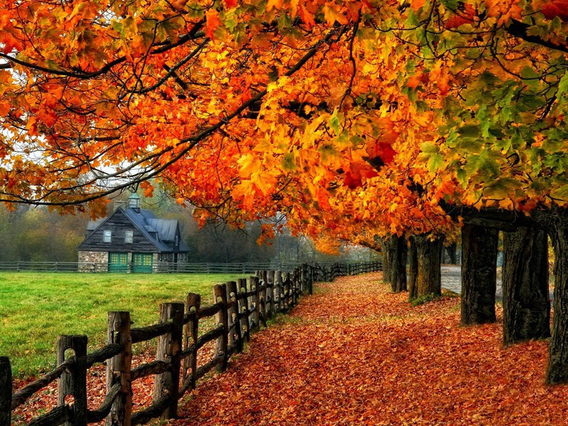 登扬州郡圃小金山遥碧亭原文注释译文赏析-曾几诗词-宋诗全集