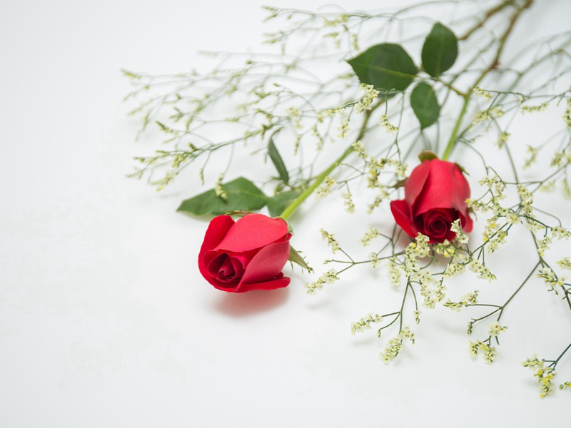 题三山天庆观·其三原文注释译文赏析-白玉蟾诗词-宋诗全集